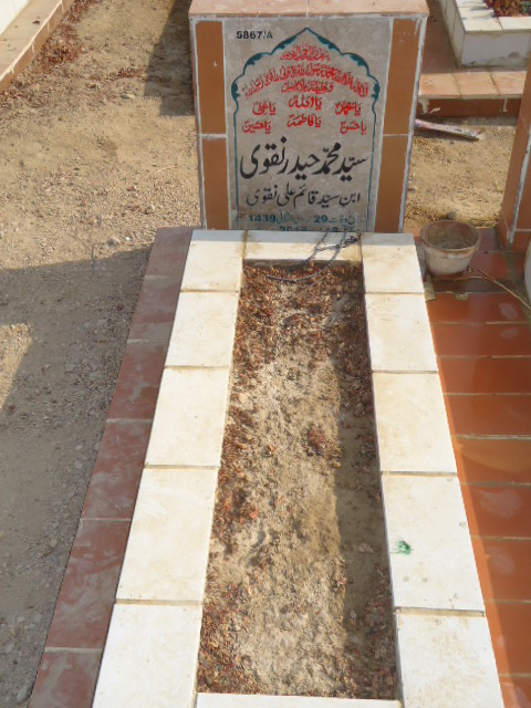 15867 – Syed Muhammad Haider Naqvi