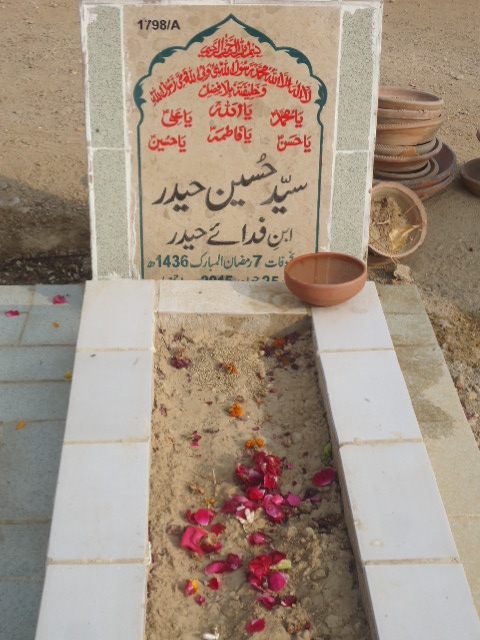 11798 – Syed Hussain Haider