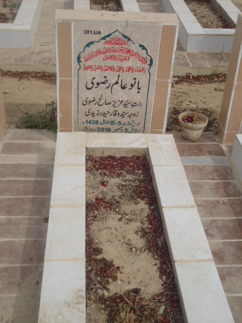 13813 – Bano Alam Rizvi