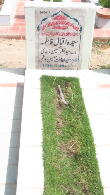 16401 – Syeda Iqbal Fatima