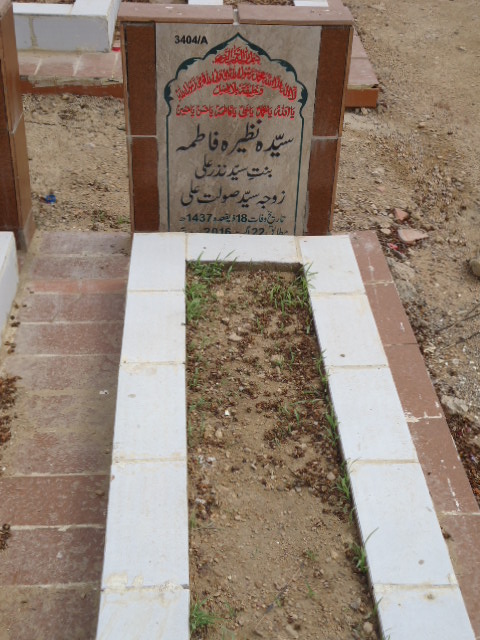 13404 – Syeda Nazeer Fatima