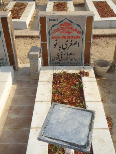 15653 – Asghari Bano