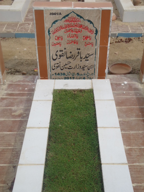 13941 – Syed Baqar Raza Naqvi