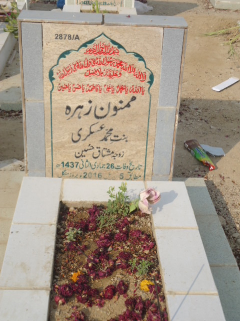 12878 – Mamnoon Zehra