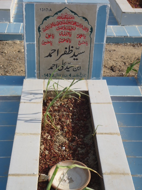 11317 – Syed Zafar Ahmed