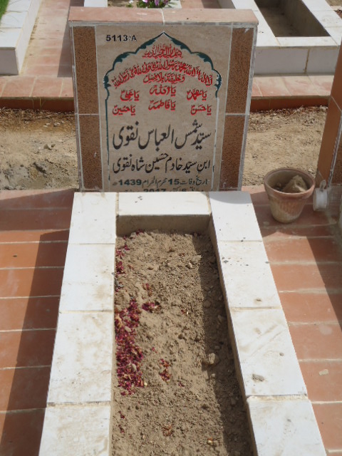 15113 – Syed Shams Ul Abbas Naqvi