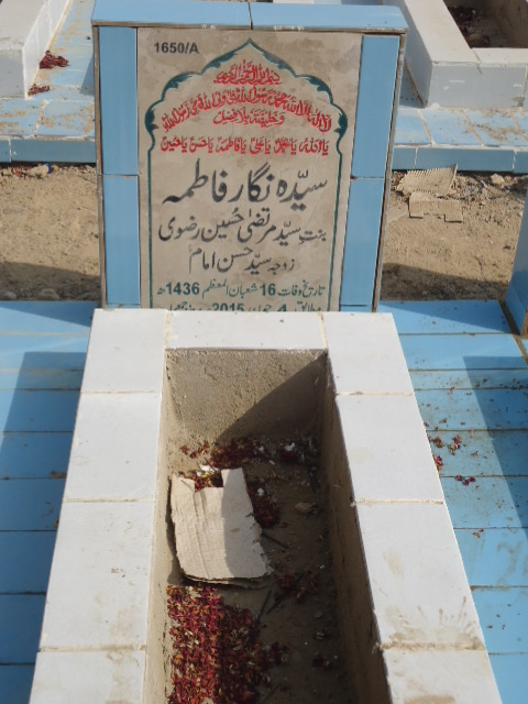 11650 – Syeda Nigar Fatima
