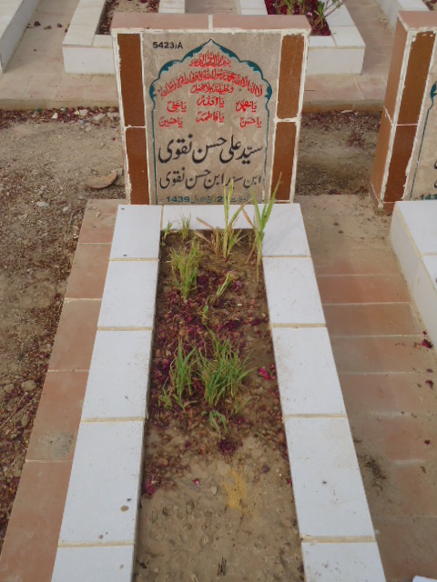 15423 – Syed Ali Hassan Naqvi