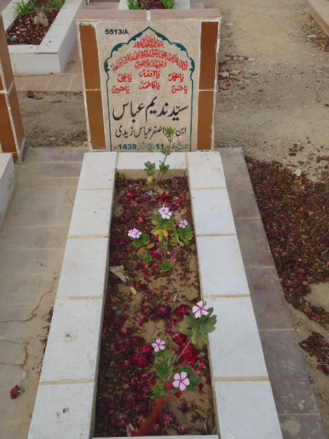 15513 – Syed Nadeem Abbas
