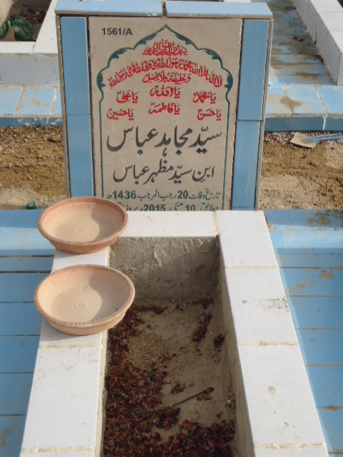 11561 – Syed Mujahid Abbas