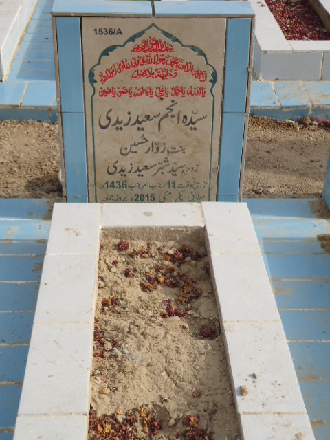 11536 – Syeda Anjum Saeed Zaidi