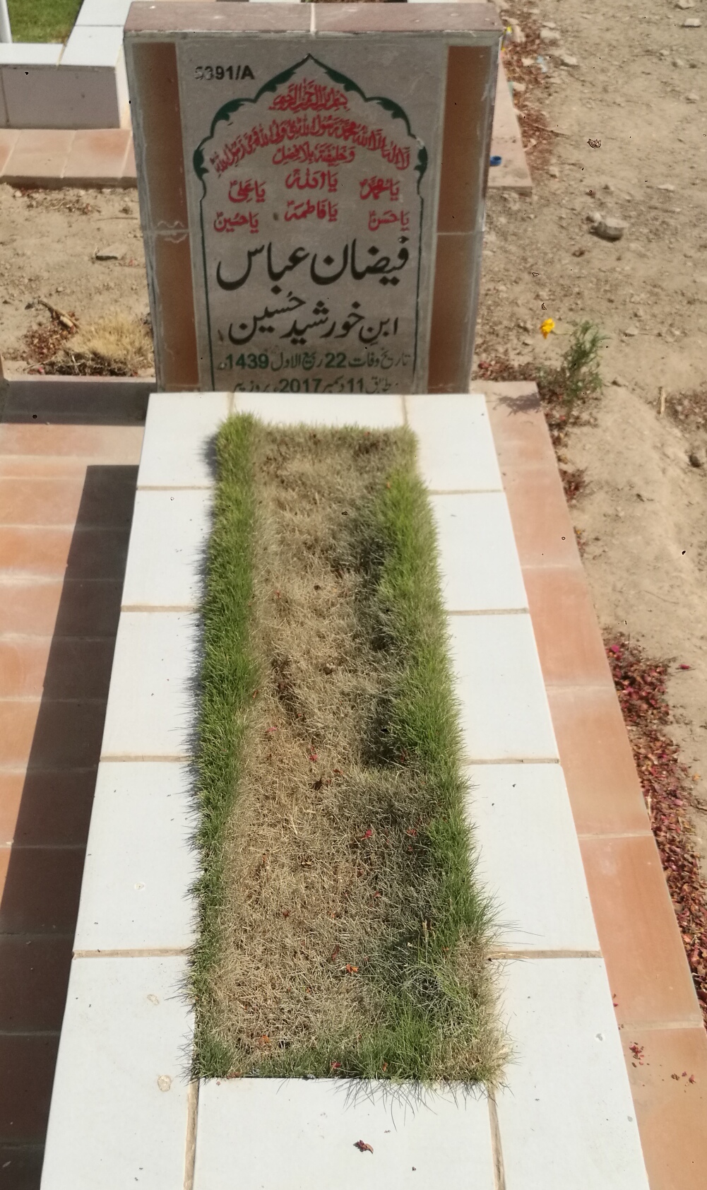 15391 – Faizan Abbas