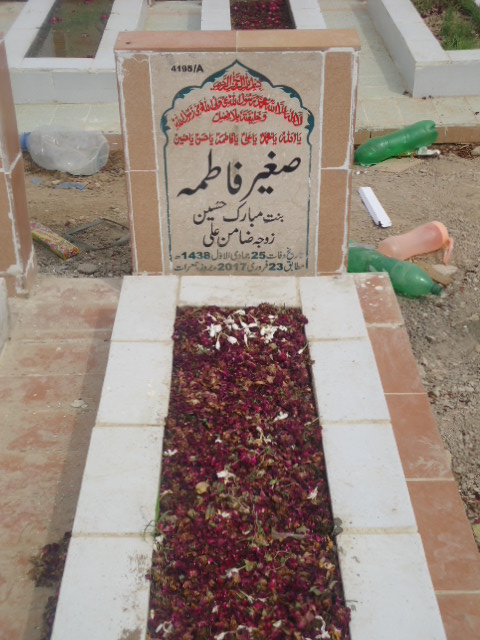 14195 – Sagheer Fatima