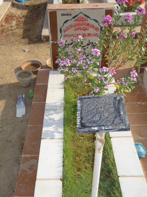 15842 – Syeda Tayyeba Begum Rizvi