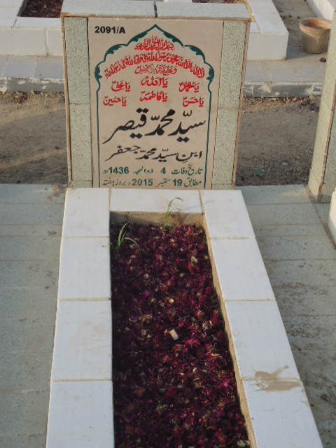 12091 – Syed Muhammad Qaisar