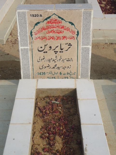 11920 – Suriya Parveen