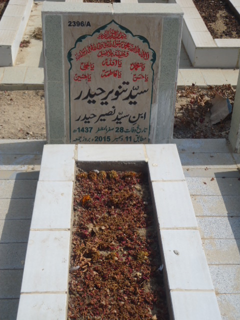 12396 – Syed Tanveer Haider