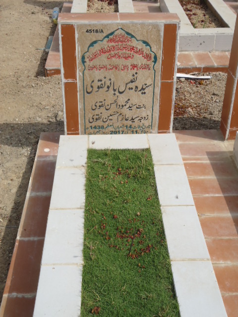 14518 – Syeda Nafees Bano Naqvi