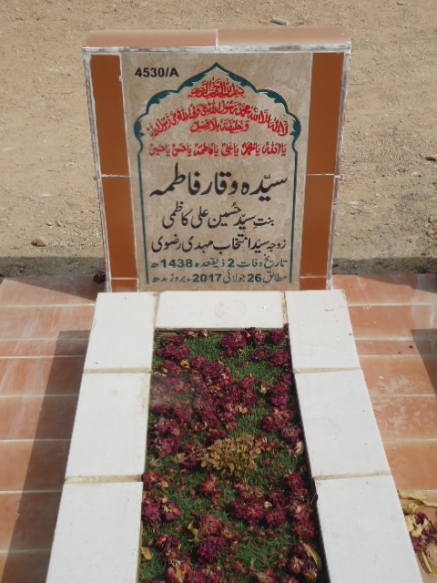 14530 – Syeda Waqar Fatima