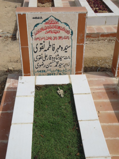 14498 – Syeda Mehar Fatima Naqvi