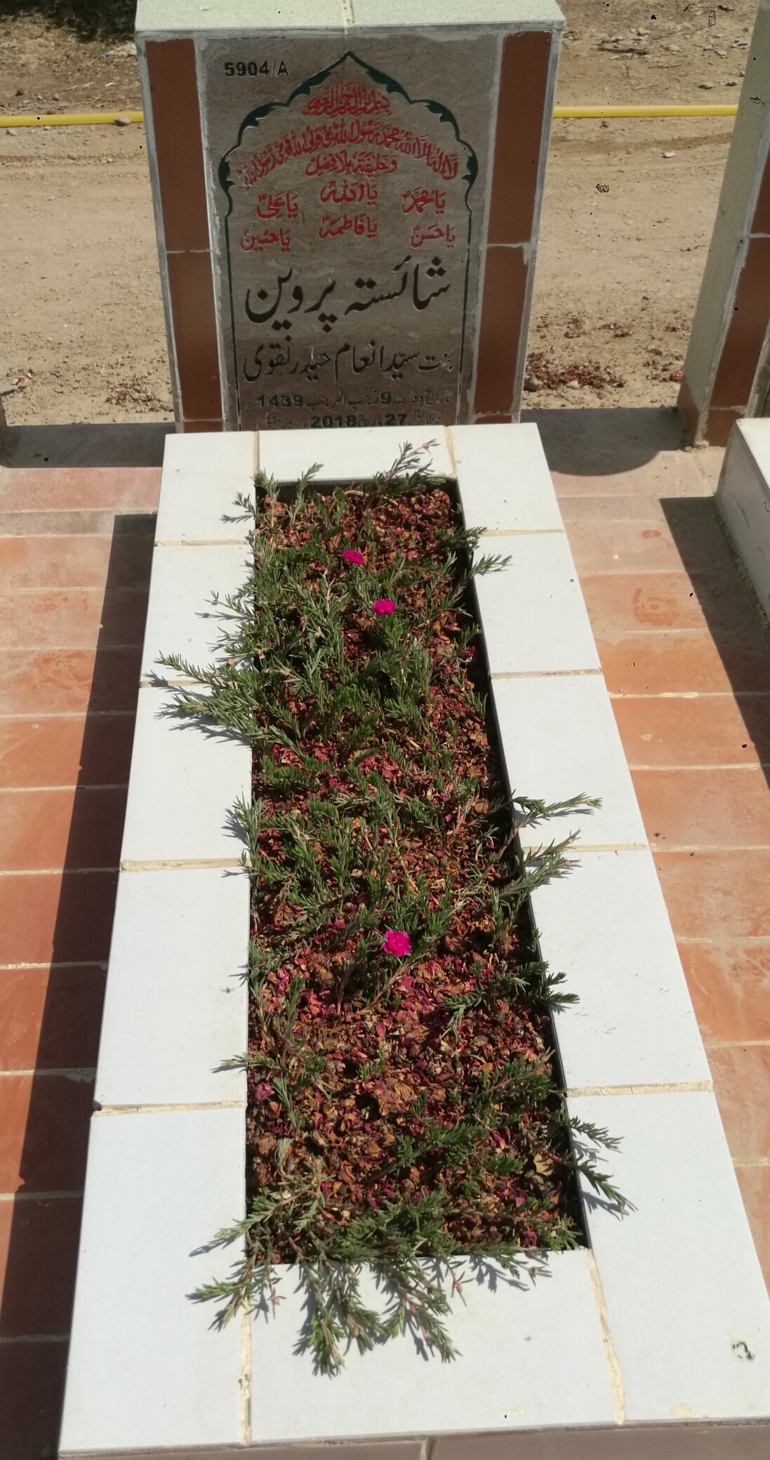 15904 – Shaista Parveen