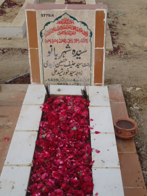 15775 – Syeda Sheharbano