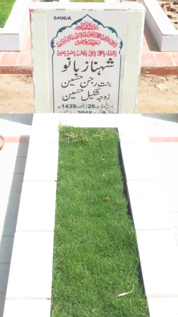 16406 – Shehnaz Bano