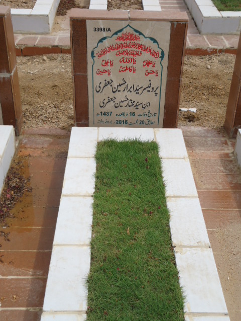 13398 – Prof Syed Abrar Hussain Jaffery