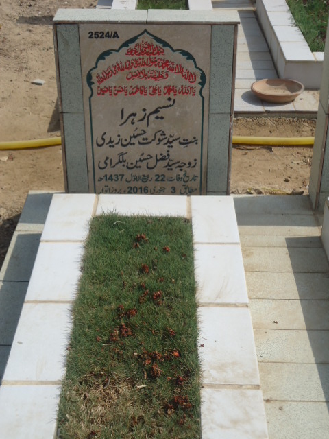 12524 – Naseem Zehra