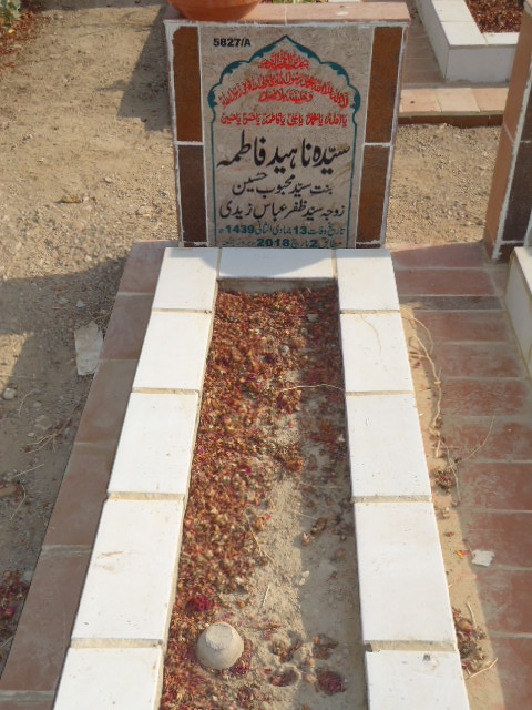 15827 – Syeda Naheed Fatima