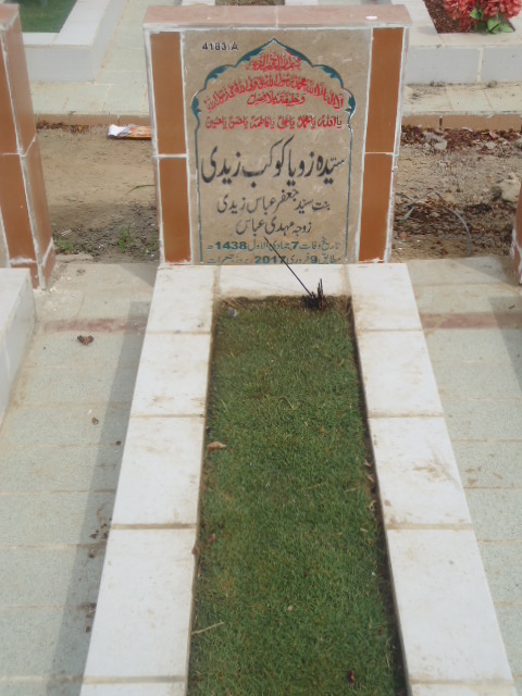 14183 – Syeda Zoya Kokab Zaidi