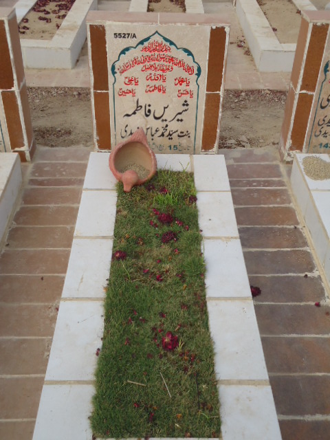 15527 – Shreen Fatima