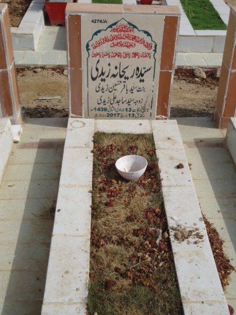 14274 – Syeda Rehana Zaidi