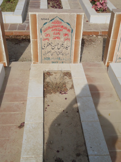 15254 – Syed Raees Hassan Jaffery