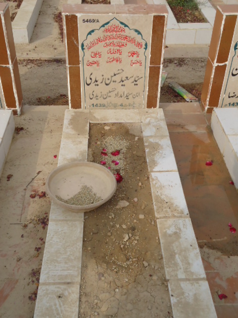 15469 – Syed Saeed Hussain Zaidi