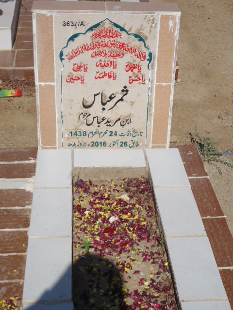 13637 – Samar Abbas