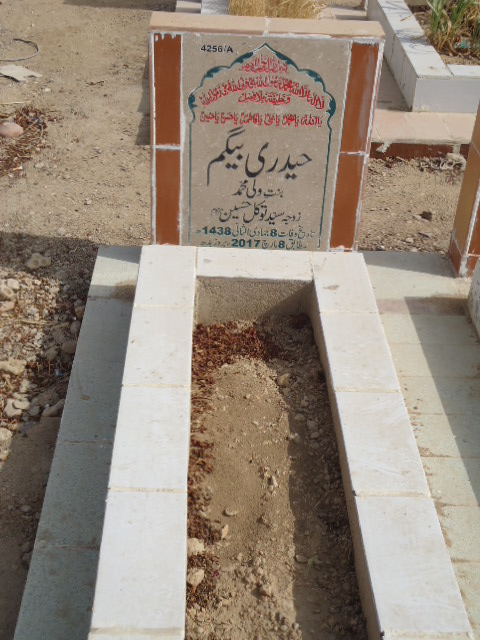 14256 – Haideri Begum