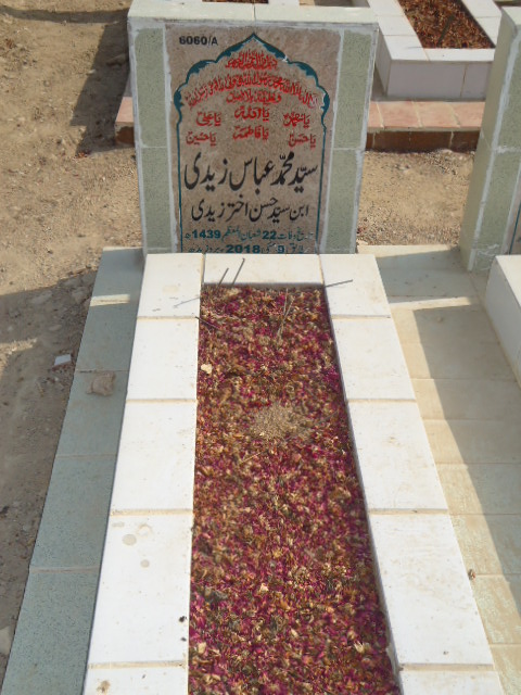 16060 – Syed Muhammad Abbas Zaidi