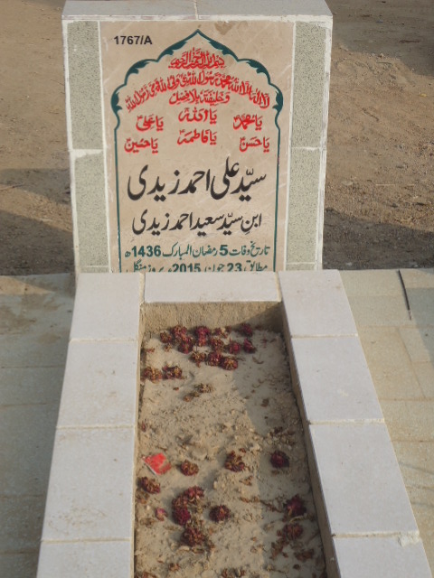 11767 – Syed Ali Ahmed Zaidi