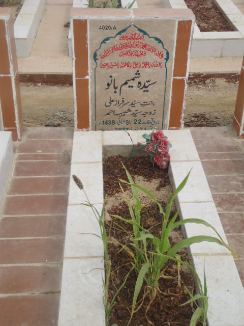14020 – Syeda Shamim Bano