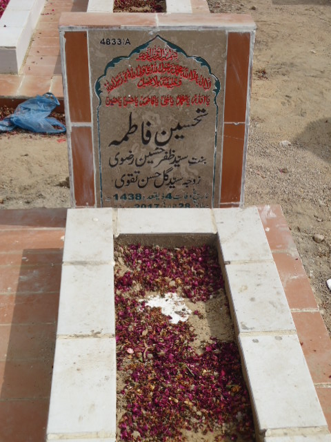 14833 – Tehseen Fatima