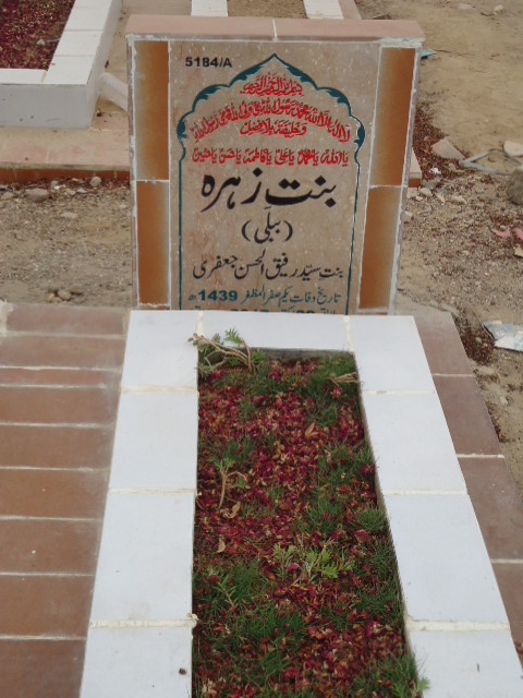 15184 – Binte Zehra