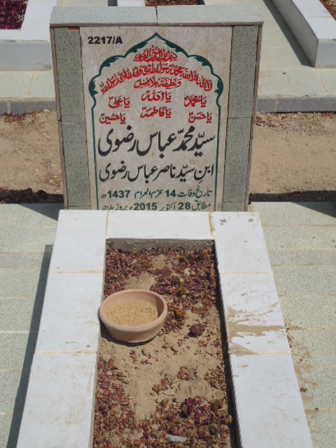 12217 – Syed Muhammad Abbas Rizvi