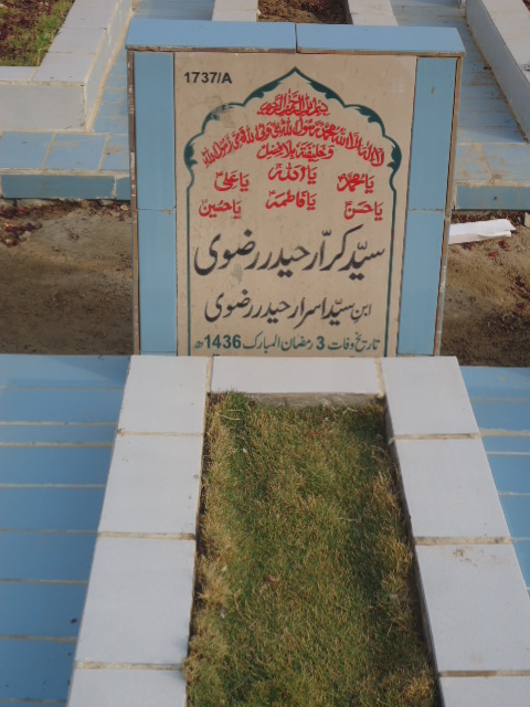 11737 – Syed Karar Haider Rizvi