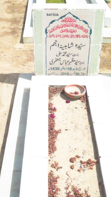 16475 – Syeda Shaheena Anjum