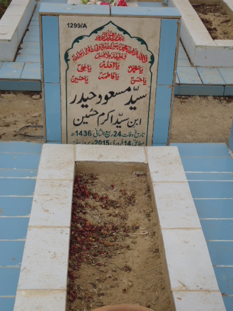 11299 – Syed Masood Haider