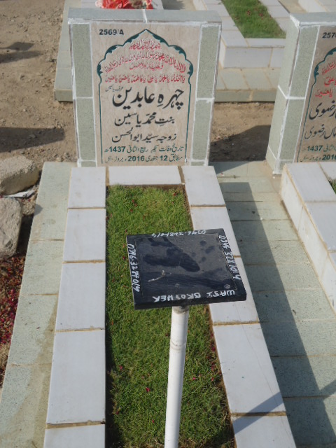 12569 – Chehra-E- Abideen