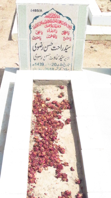 16485 – Syed Rahat Hassan Rizvi