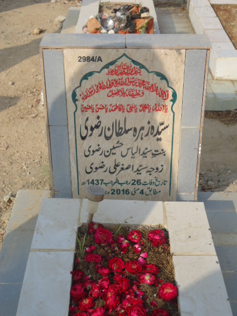 12984 – Syeda Zehra Sultan Rizvi