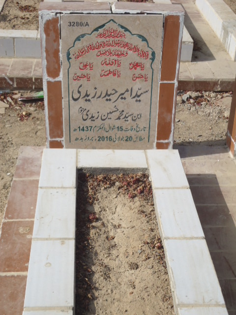 13280 – Syed Ameer Haider Zaidi